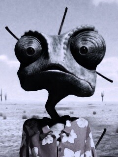 Ранго в колючках от кактуса обои