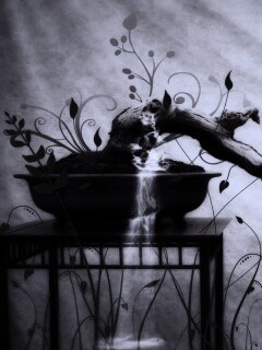 Карликовое дерево обои