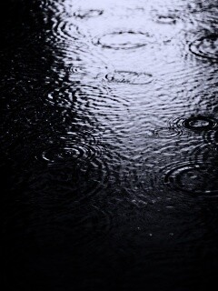 Дождь обои