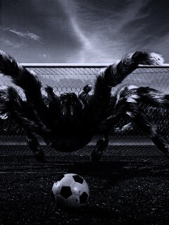 Вратарь обои