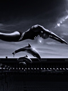 Соревнование обои