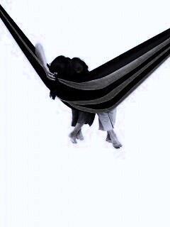 Гамак beeline обои