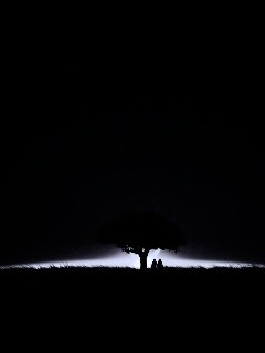 Звёздная ночь обои