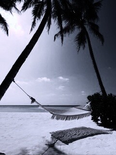 Тропический рай обои