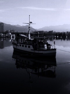 Городская панорама обои