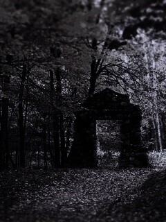 Каменная арка в осеннем лесу обои