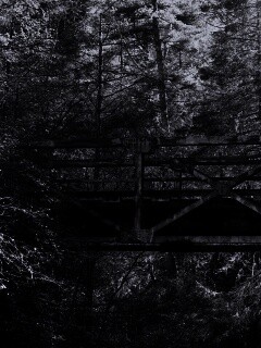 Металлический мост в лесной глуши обои