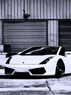 Белый спорткар Ламборгини Галлардо обои
