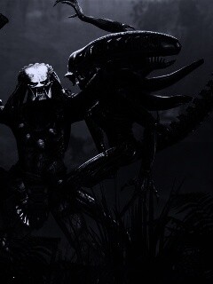 Чужой против Хищника обои