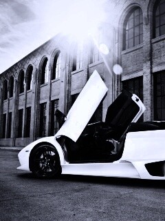 Белая Ламборгини Мурсьелаго обои