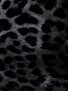 Шкура гепарда обои
