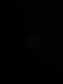 Логотип Apple в дереве обои