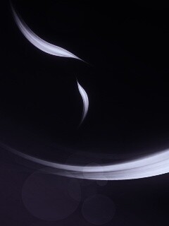 Лепестки света обои