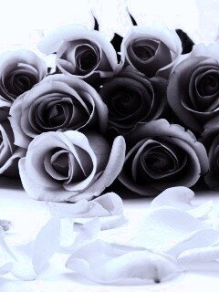 Букет роз обои