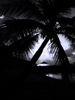 Пляж на закате обои