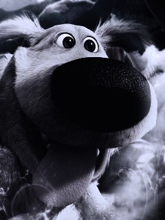 Собака из мультфильма Up обои