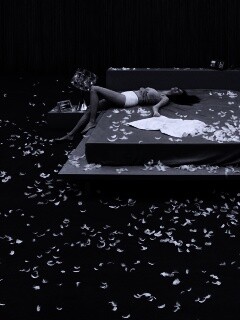 На поле брани.. подушками обои