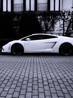 Белый Lamborghini обои
