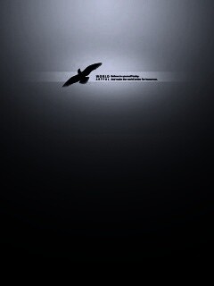 Поверь в себя сегодня обои