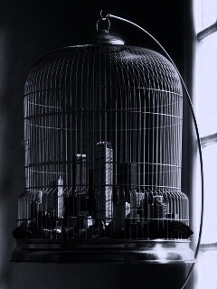 Город в клетке обои