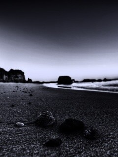 Океанский берег обои