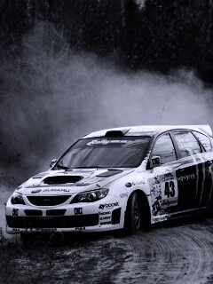 Раллийная гонка обои