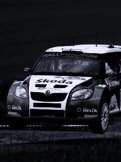 Раллиййная Шкода обои