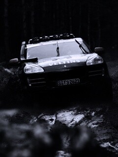 Ралли Porsche обои