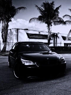 Две БМВ обои