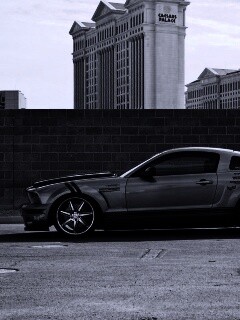 Ford Mustang обои