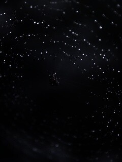 Паук на паутине обои