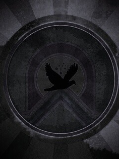 Голубь мира обои