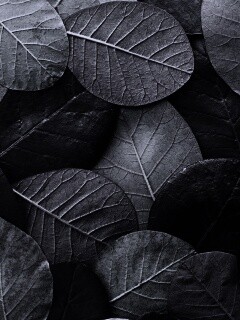 Лиственный узор обои