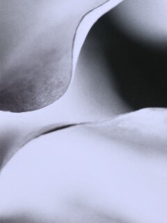 Оттенки природы обои