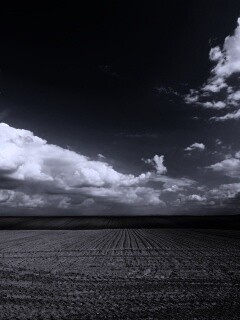 Незасеянное поле обои