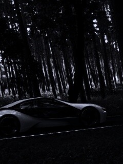 Спорткар BMW на лесной дороге обои