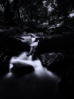 Речной поток в лесу обои