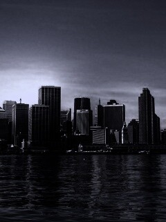 Небоскребы на береговой линии обои