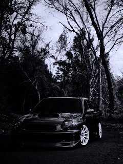 Субару Импреза на лесной дороге обои