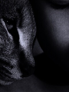 Человек и природа обои