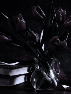 Букет красных тюльпанов обои