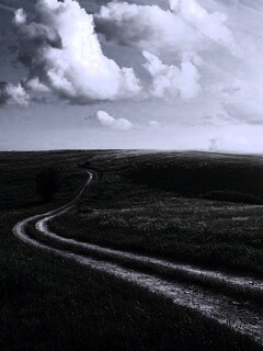 Дорога через луг обои