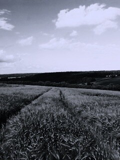 Бескрайние просторы обои