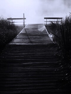 Выход к реке обои