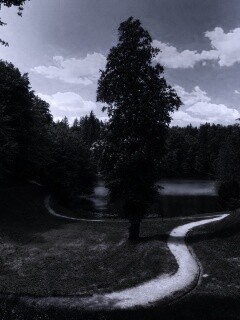 Прекрасная природа обои