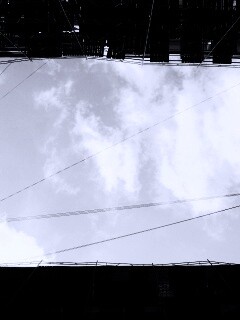 Человеческий муравейник обои