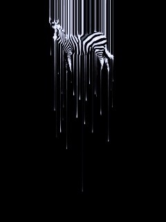 Креативное изображение зебры обои