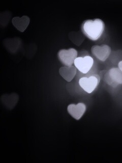 Фотографируй с любовью обои