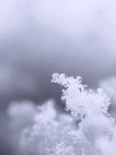 Макро фото снега обои
