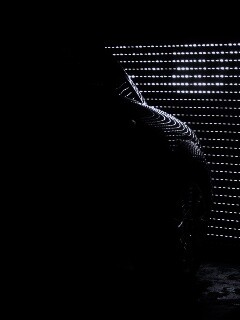 Взаперти обои